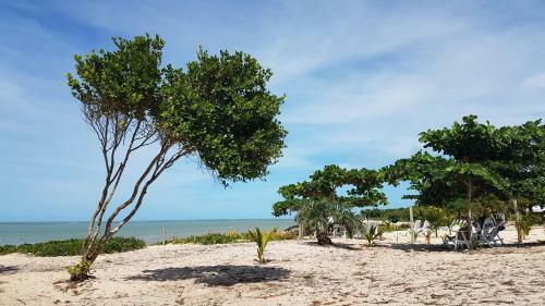 Apartamento Ondas Praia Resort