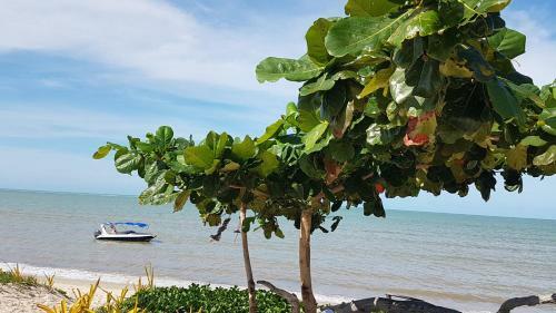 Apartamento Ondas Praia Resort