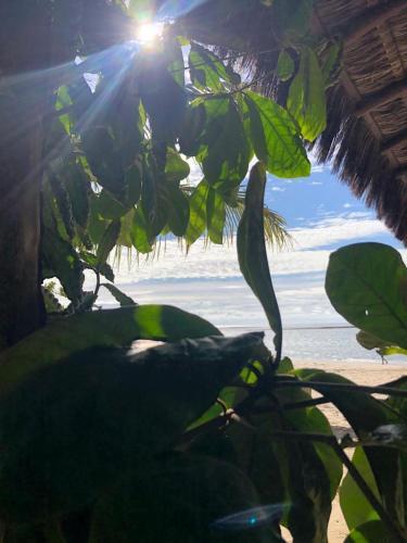 Apartamento Inteiro Com Piscina - 17