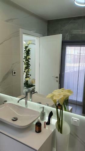 Apartamento Casa Aurelia Bed & Breakfast