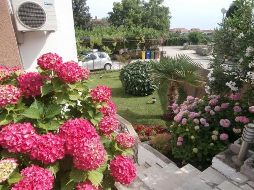 Apartments Mira Krk