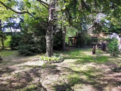 Szent Erzs�bet Apartmanh�z