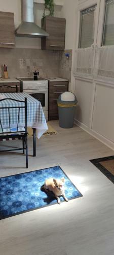 Nagyi Apartman Kecskem�t