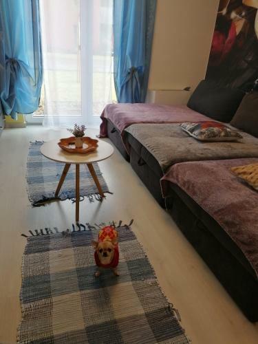 Orsi Apartman Kecskem�t