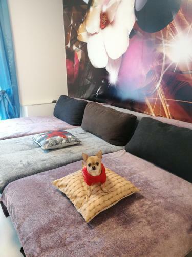 Orsi Apartman Kecskem�t