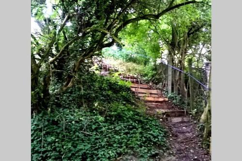 Romantic Holiday Cottage By The Danube