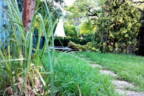 Romantic Holiday Cottage By The Danube