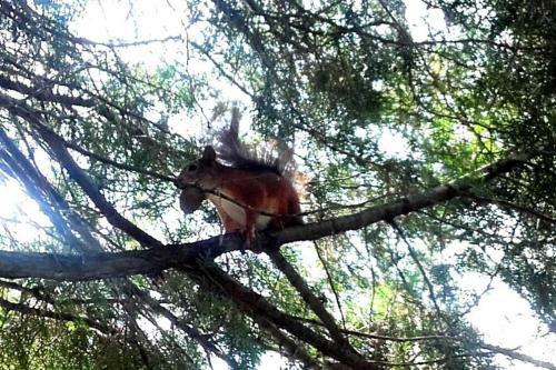 Romantic Holiday Cottage By The Danube