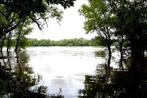 Romantic Holiday Cottage By The Danube