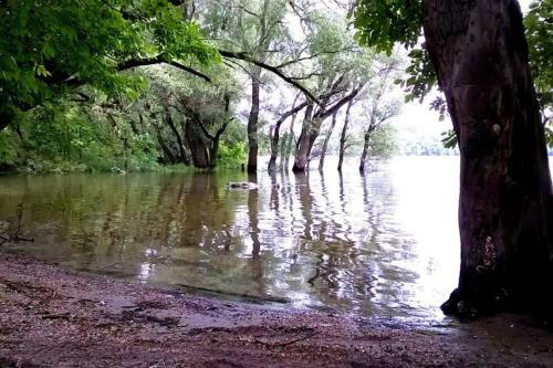 Romantic Holiday Cottage By The Danube