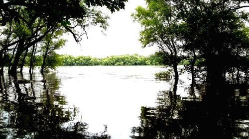 Romantic Holiday Cottage By The Danube