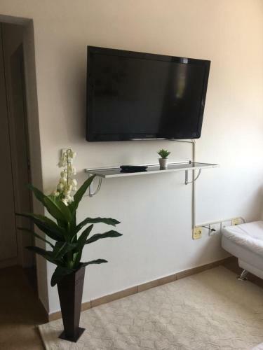 Apartamento Lindo Apto Na Vila Tupi