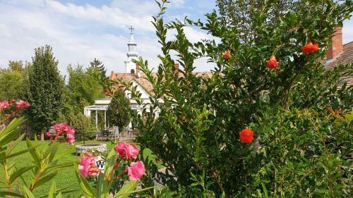 Bed & Breakfast Mi A K? Vend�gh�z