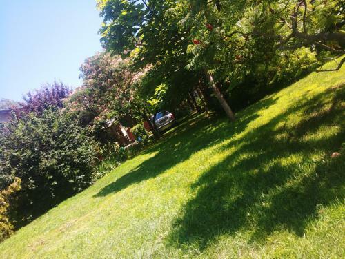 A Nyugalom Szigete H�z