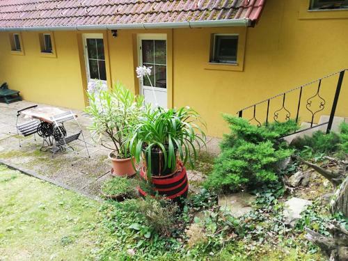 Hostal Moh�s Vend�gh�z K?szeg