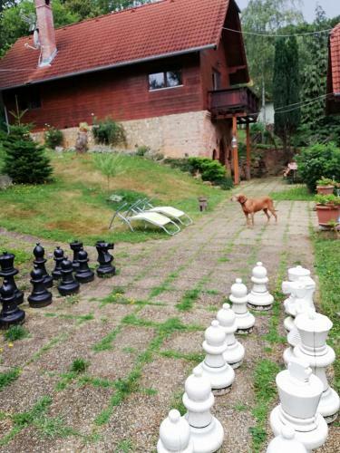 Hostal Moh�s Vend�gh�z K?szeg
