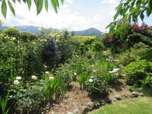 Bed & Breakfast Marchmont Gardens