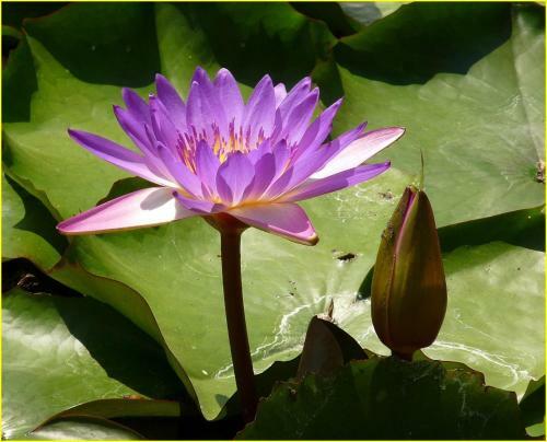 Z�mor Holiday House