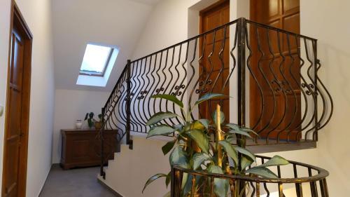 Apartamento Zichy H�z