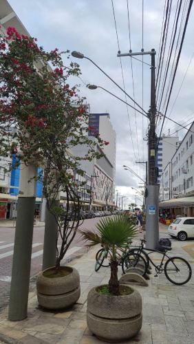 Apartamento Centro Praia Mar - Boqueir�o