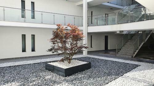 K�kvitorla Apartman Keszthely