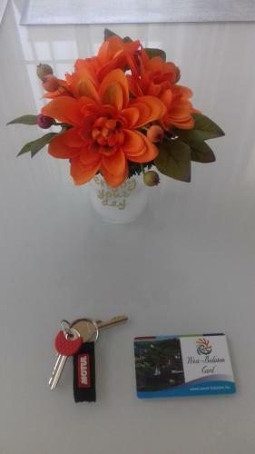 Benelise Apartman