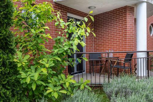Spirit Of H�viz Apartment