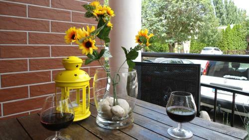 Spirit Of H�viz Apartment