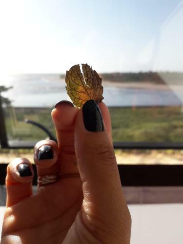 Apartamento Barra Home Stay - Flat