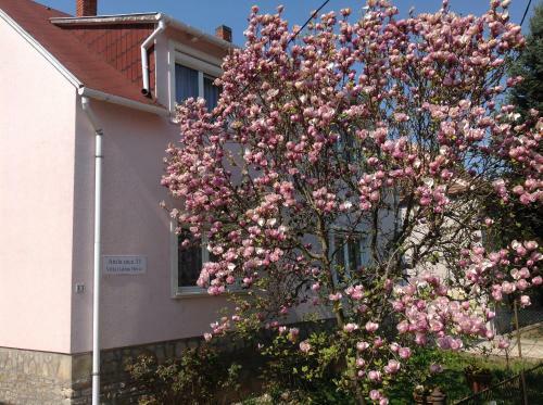Apartamento Villa Galina H�v�z