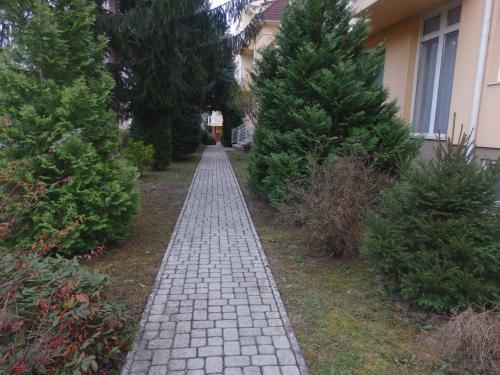 Zo� Apartman