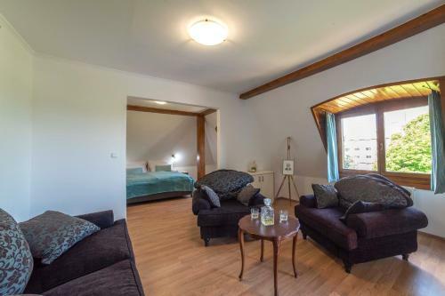 Hotel Kis Helikon Villa