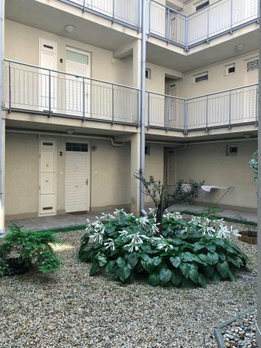 Vera Apartman