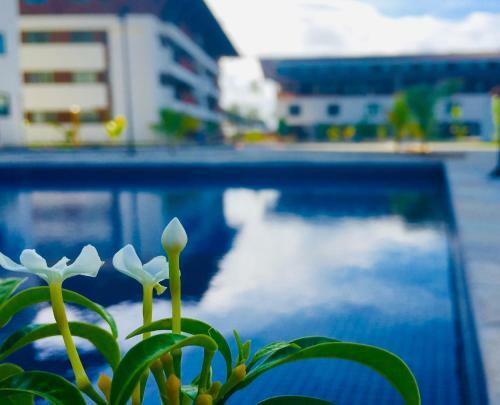 Apartamento Deluxe Cupe Beach Living