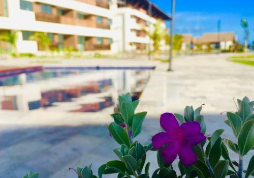 Apartamento Deluxe Cupe Beach Living