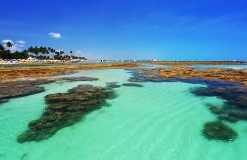 Apartamento Palm Village Acqua