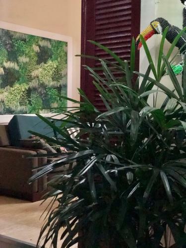 Casa Boutique Maraca Privativa Para 6 Pessoas Com Pets