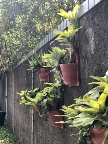 Casa Boutique Maraca Privativa Para 6 Pessoas Com Pets