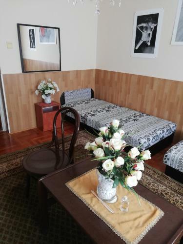 Hostal Szoboszl�f?nix Vend�gh�z