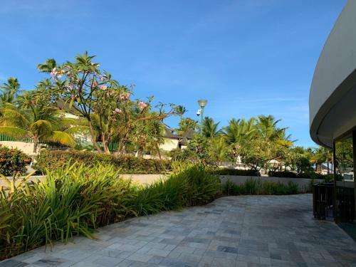 Apartamentos Flat Praia Muro Alto