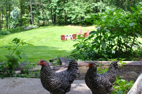Bed & Breakfast Aubert Den