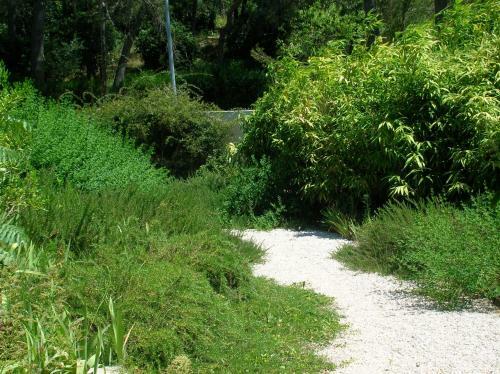 Bed & Breakfast Les Orchid�es