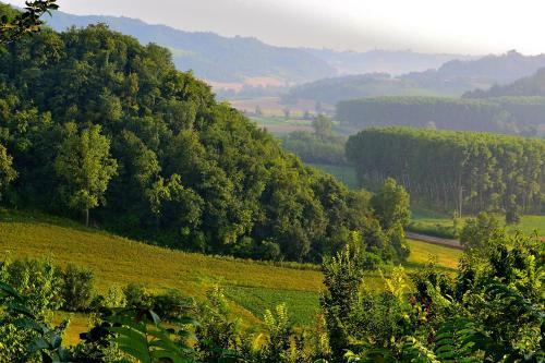 Agroturismo Monvillone