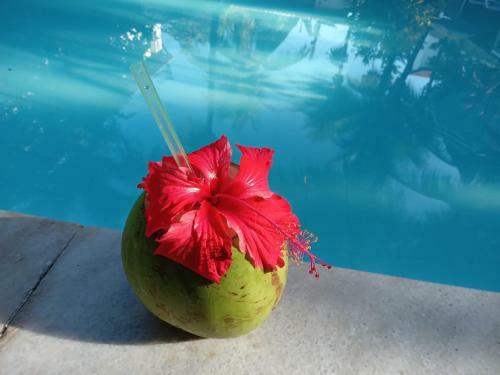 Hostal Exclusive Guest House