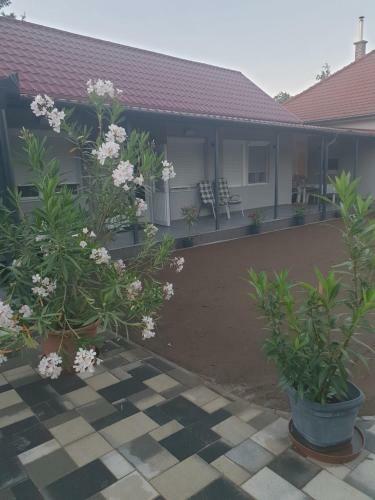 Tahiti Garden Apartman