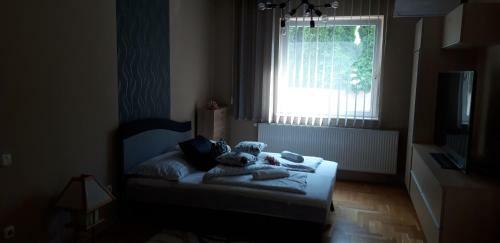 Csillag Apartman