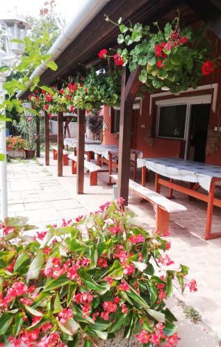 Apartamento Tessedik Vend�gh�z