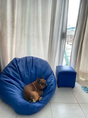 Apartamento Flat Porto De Galinhas