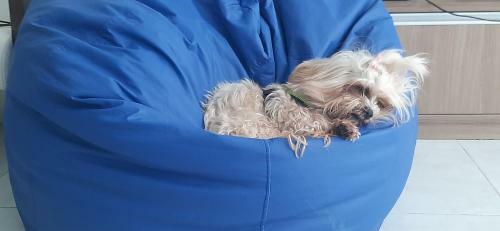 Apartamento Flat Porto De Galinhas