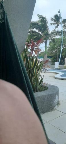 Apartamento Flat Porto De Galinhas